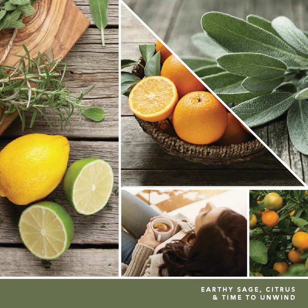 Yankee Candle Sage & Citrus Studio Collection, 10 oz